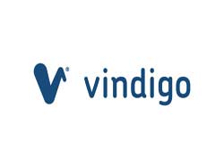 Vindigo is out of the game