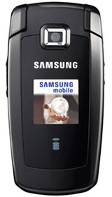 Samsung SGH S401i